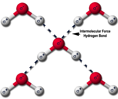 WaterHbonds