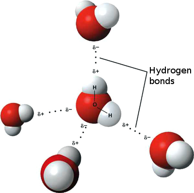 H2Ostructure