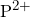 P^{2+}